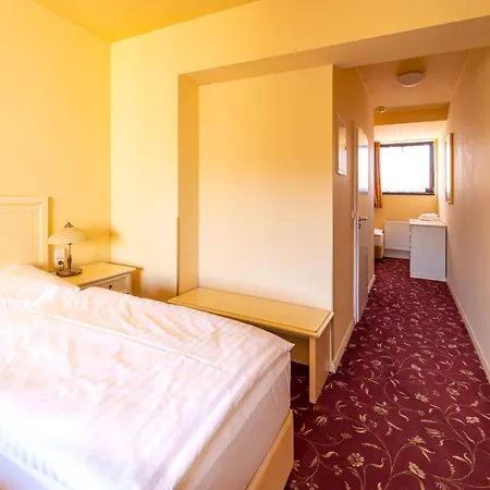 Spa Hotel Vita Hotel Ceske Budejovice