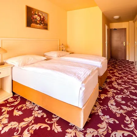 Spa Hotel Vita Hotel 4*