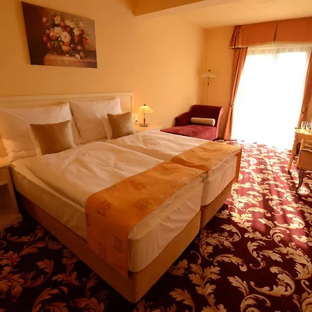 Hotel Spa Hotel Vita Ceske Budejovice
